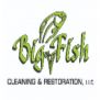 bigfish cleanings Photo